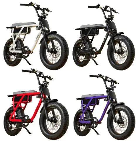 CRUZR E-Bike Barrel 750w by CRUZR bikes