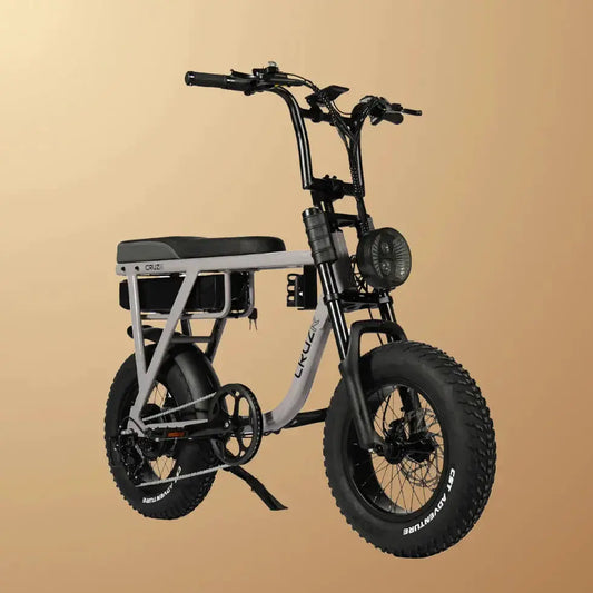 CRUZR E-Bike Grom 250W by CRUZR bikes