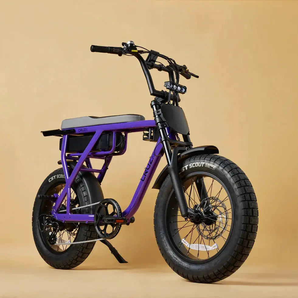 CRUZR E-Bike Barrel 250w by CRUZR bikes