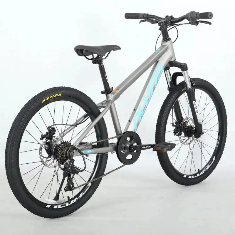 Alvas Kids E380-LB 24" by Cyclemotion