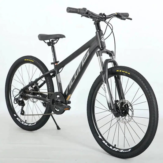 Alvas Kids E380-LB 24" by Cyclemotion