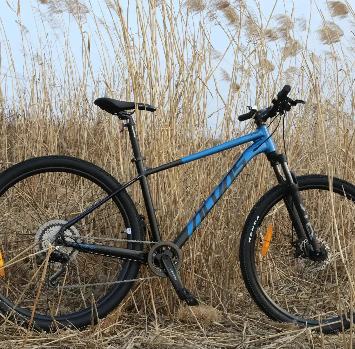 Alvas Storm MX9 by Cyclemotion