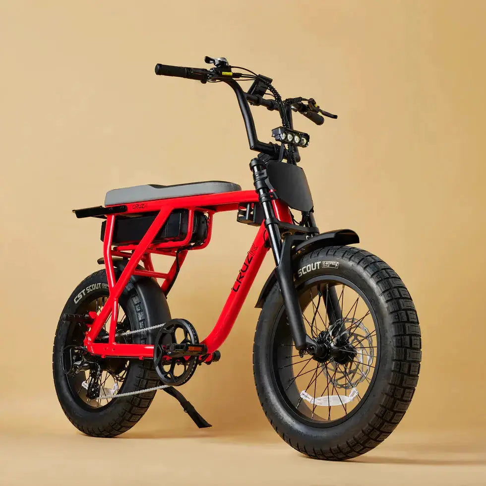 CRUZR E-Bike Barrel 750w by CRUZR bikes