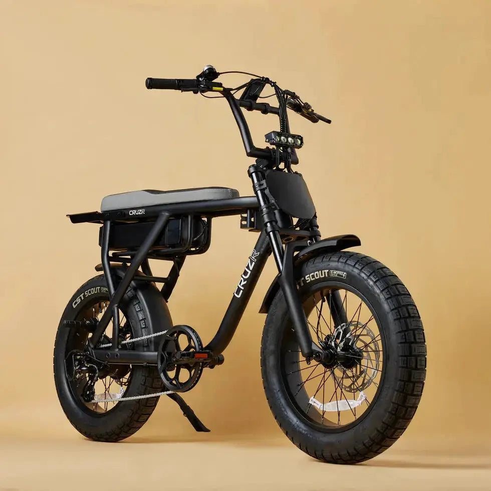 CRUZR E-Bike Barrel 250w by CRUZR bikes