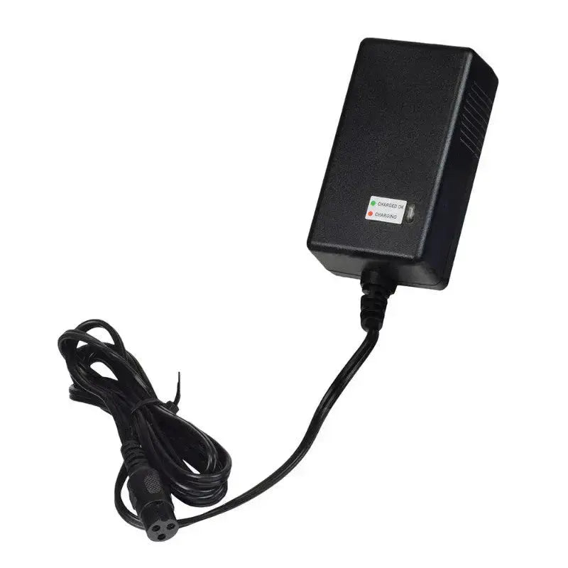 Dune Buggy | E200 | E300 | MX350 | Pocket Mod | RSF350 | E300 HD/HDL - Charger by The Brand Exchange Pty Ltd